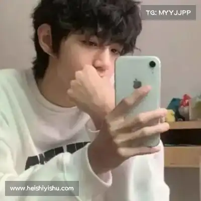 万桢翼